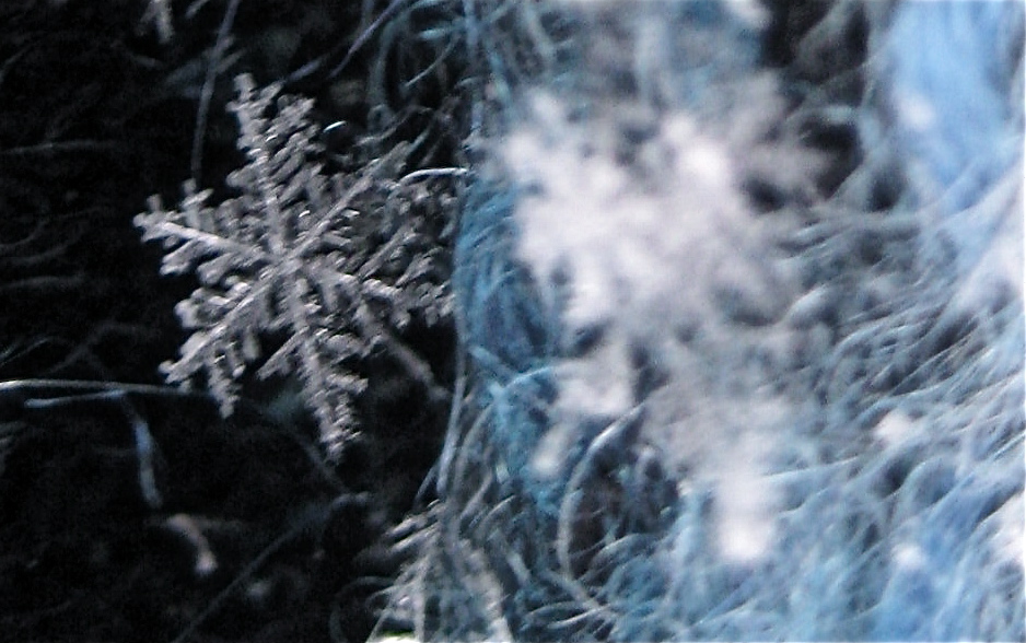 Glimpse of Solace: Latest snowflake