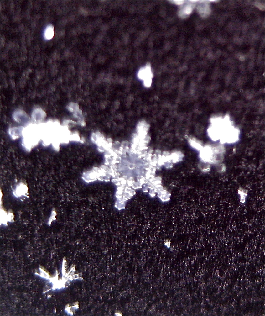 Glimpse of Solace: More snowflakes