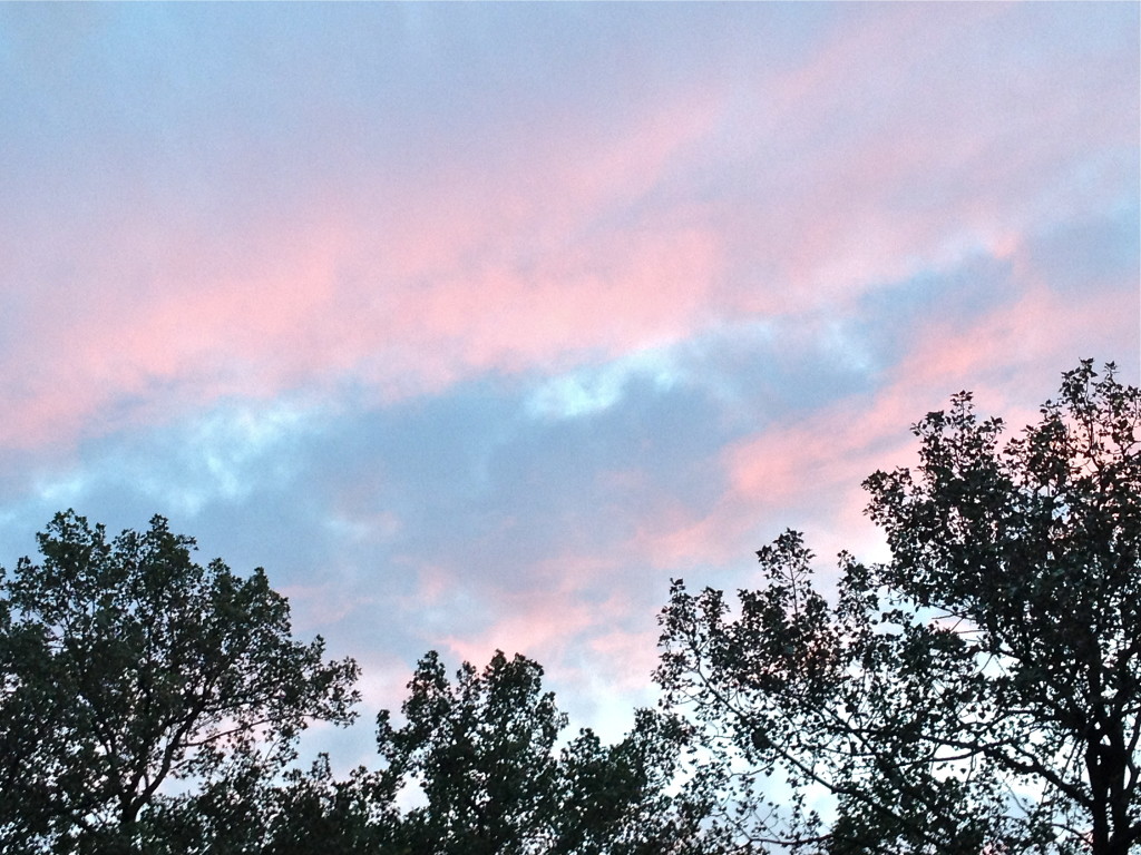 Pink sky at night (8:19:15)  © Ellen Wade Beals, 2015