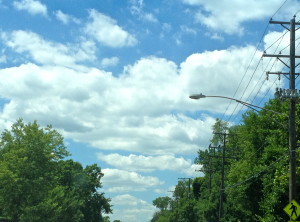 Out my windshield today © Ellen Wade Beals, 2016