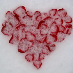 cold-heart-ellen-wade-beals-2012