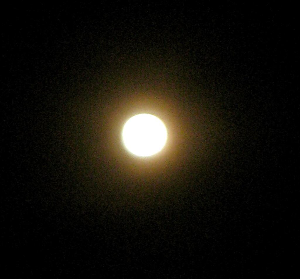 Strawberry moon in June © Ellen Wade Beals, 2015