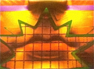 Mouth detail in Ed Paschke work © Ellen Wade Beals, 2015