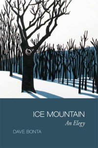 Ice-Mountain-book-cover